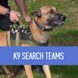 k9-search-1
