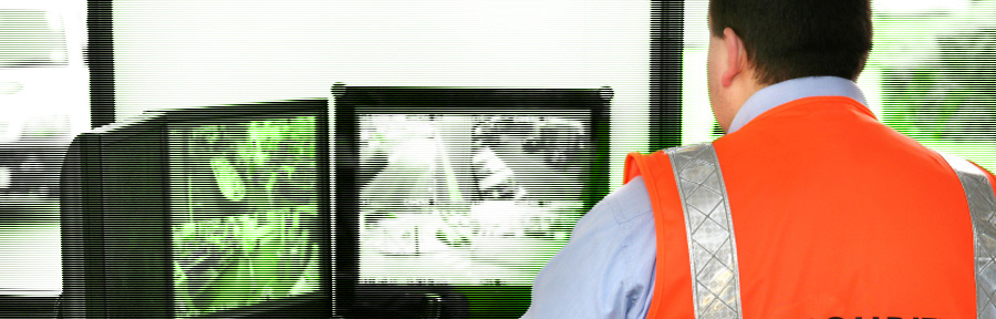 banner07